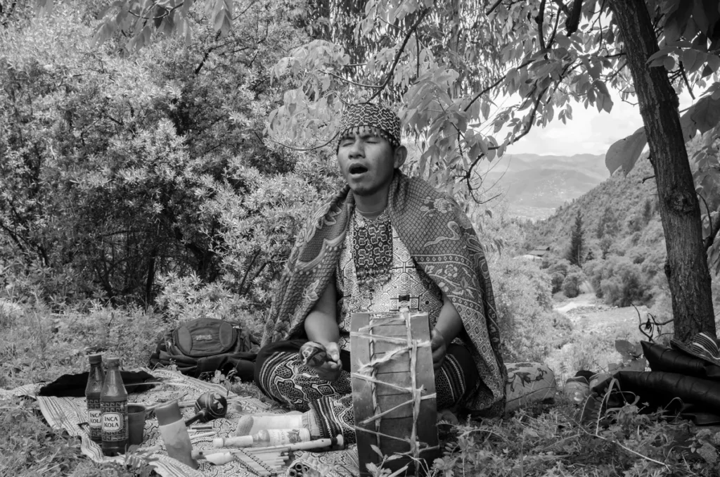 Ayahuasca Cusco Peru