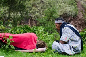 What Happens to Someone Who Consumes Ayahuasca?