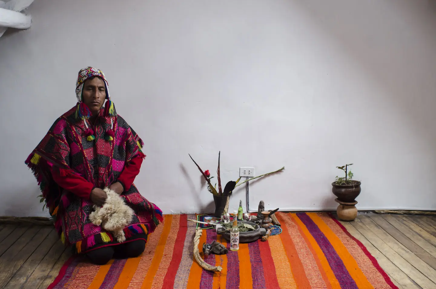 Benefits of San Pedro Wachuma – emotional mental spiritual healing Cusco Peru
