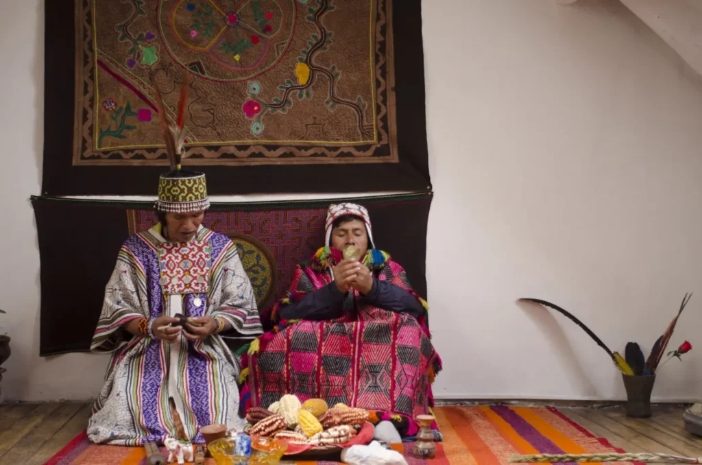 San Pedro Wachuma vs Ayahuasca Which Medicine Is Right for You
