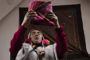 What Is San Pedro (Wachuma)