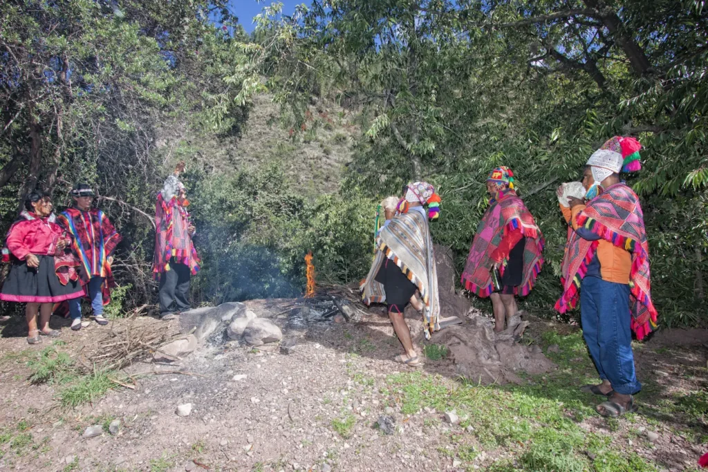 Ayahuasca and Mental Health
